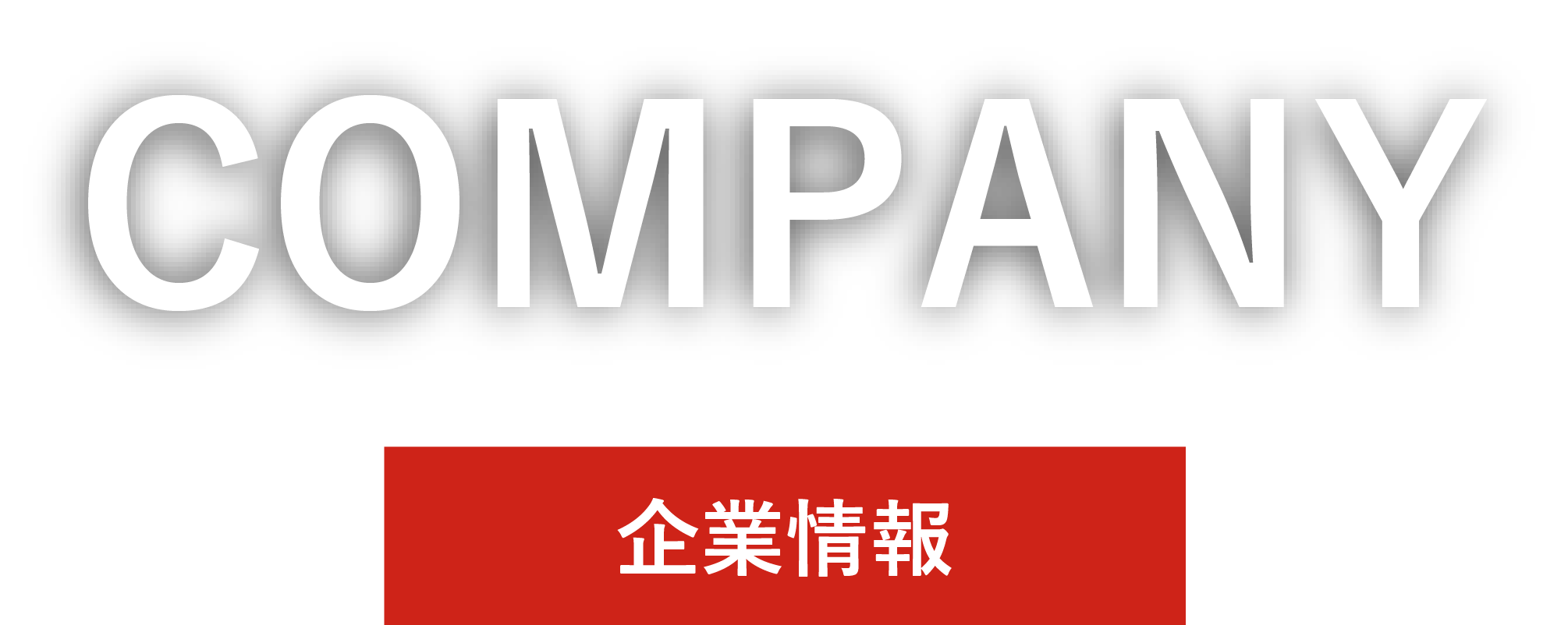 Company Information title image text